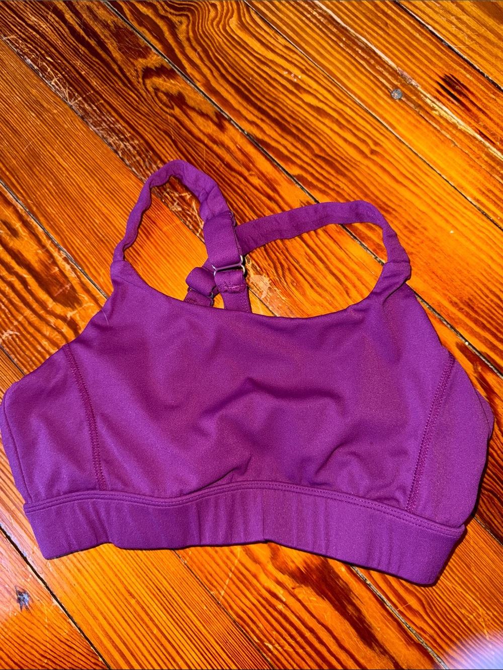 Paragon Fitwear Purple Women's Swim Top